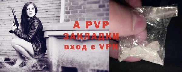 ПСИЛОЦИБИНОВЫЕ ГРИБЫ Магадан