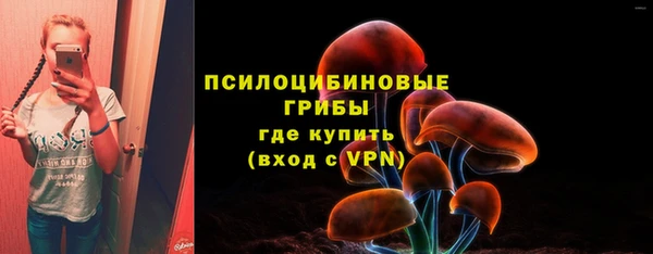 МДПВ Магас