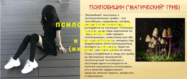 ПСИЛОЦИБИНОВЫЕ ГРИБЫ Магадан