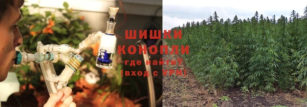 ПСИЛОЦИБИНОВЫЕ ГРИБЫ Магадан