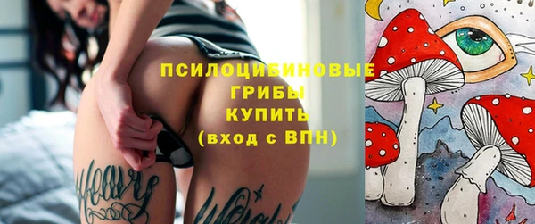МДПВ Магас