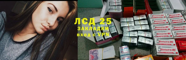эйфоретик Майский