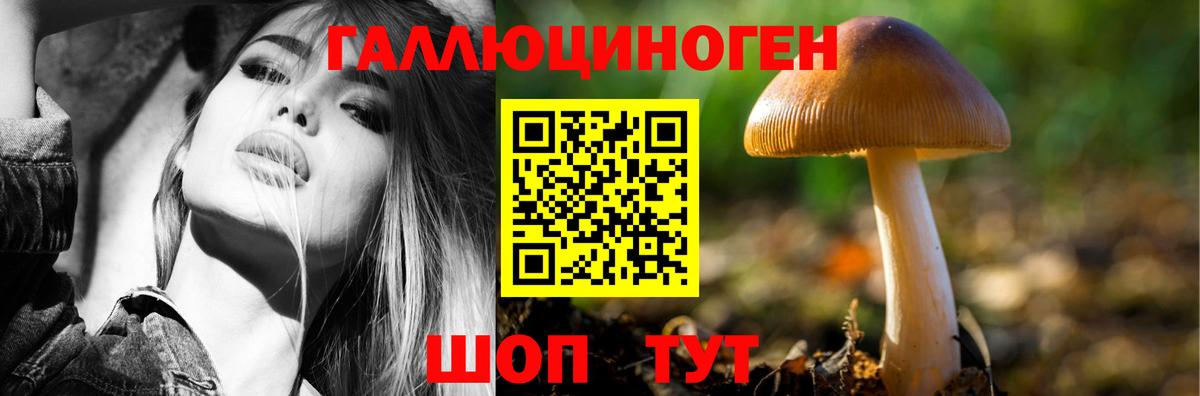 Псилоцибиновые грибы мицелий  Дербент 