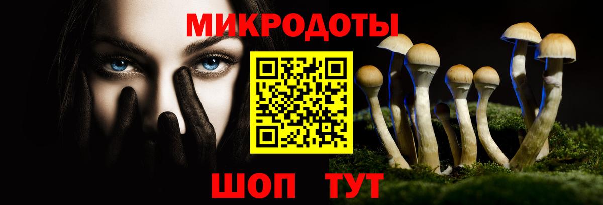 Галлюциногенные грибы GOLDEN TEACHER  Вход с VPN  Дербент 