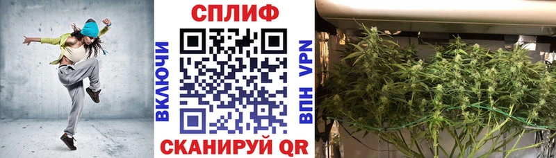 Конопля индика  где найти   Дербент 