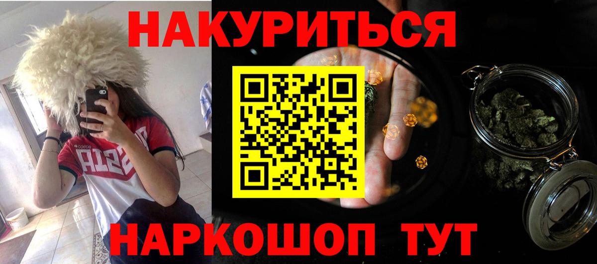 Марихуана план  Каннабис индика  Конопля конопля  Вход с VPN  Дербент 